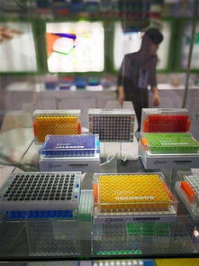 硕华生命科学等全球酷炫医疗科技云集上海cmef