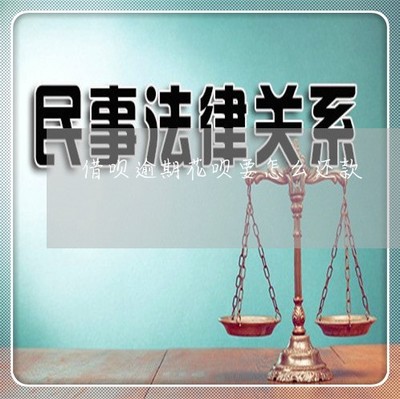 惨不忍睹 借呗逾期后，花呗该如何还款？一文讲清方法与顺序